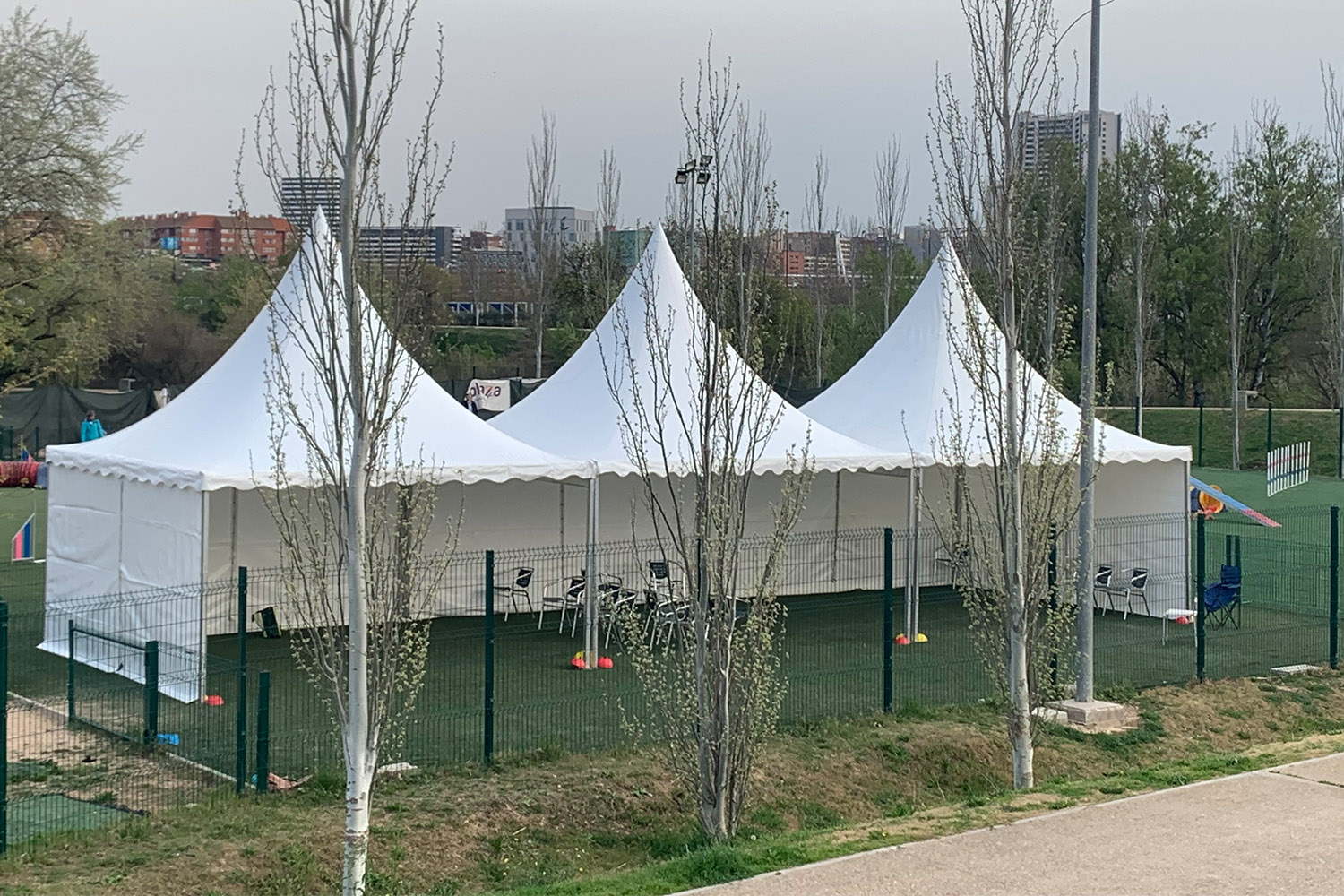 jaimas zaragoza